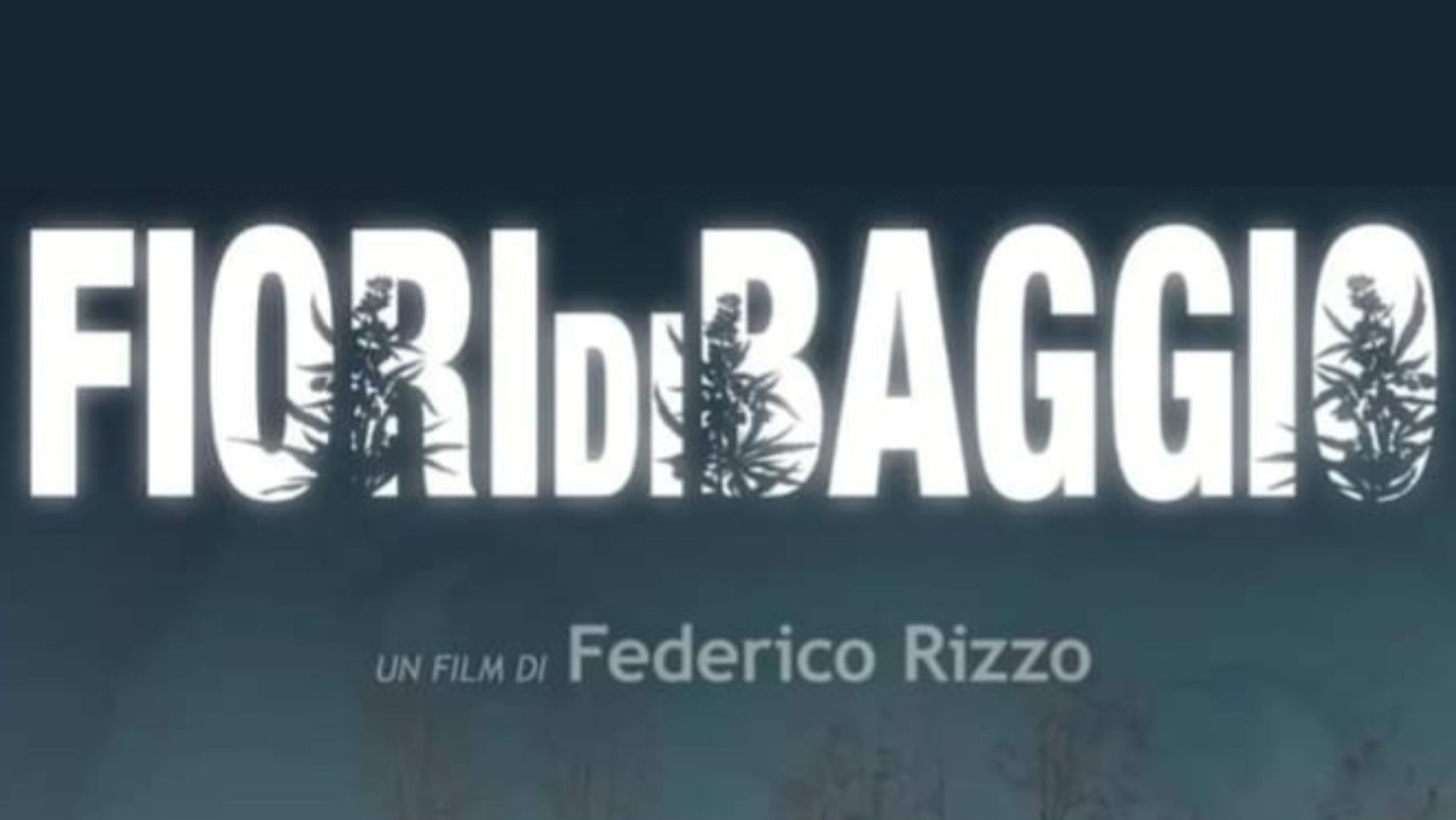 copertina (18) Fiori di Baggio