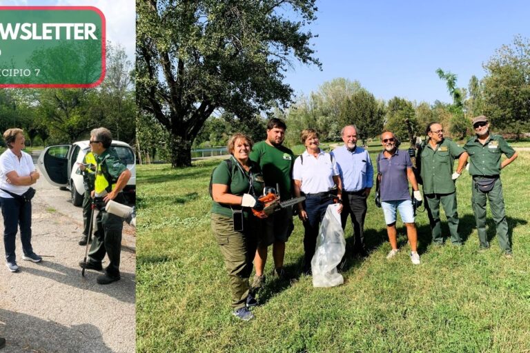 Municipio 7 Newsletter #6
