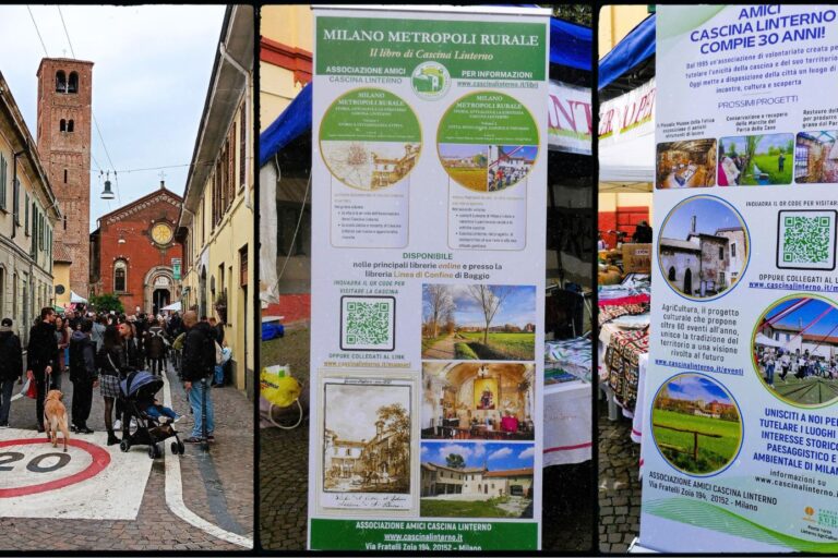 Sagra di Baggio 2024