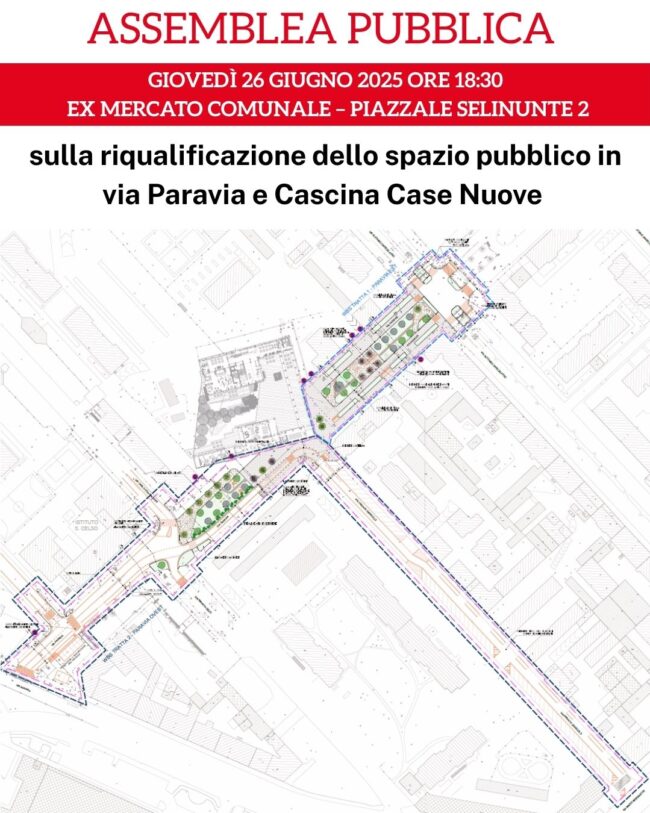 Riqualificazione sedimi stradali via Paravia - Cascina Case Nuove